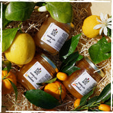 Bundle Marmellate di agrumi